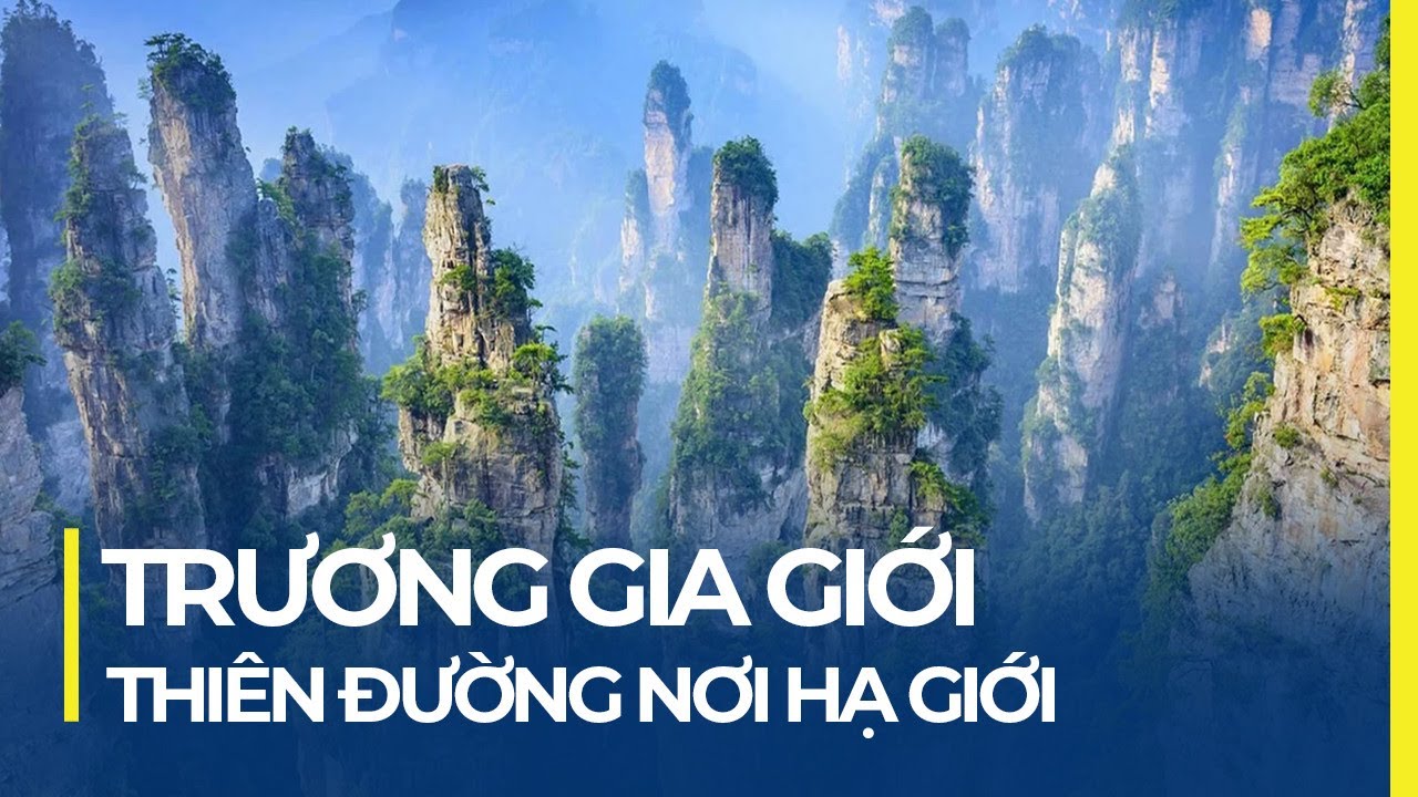 PHƯỢNG HOÀNG CỔ TRẤN - TRƯƠNG GIA GIỚI